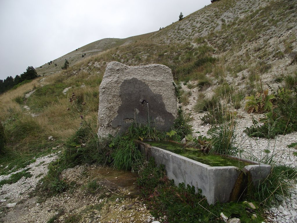 Fonte del lupo by quengarelli