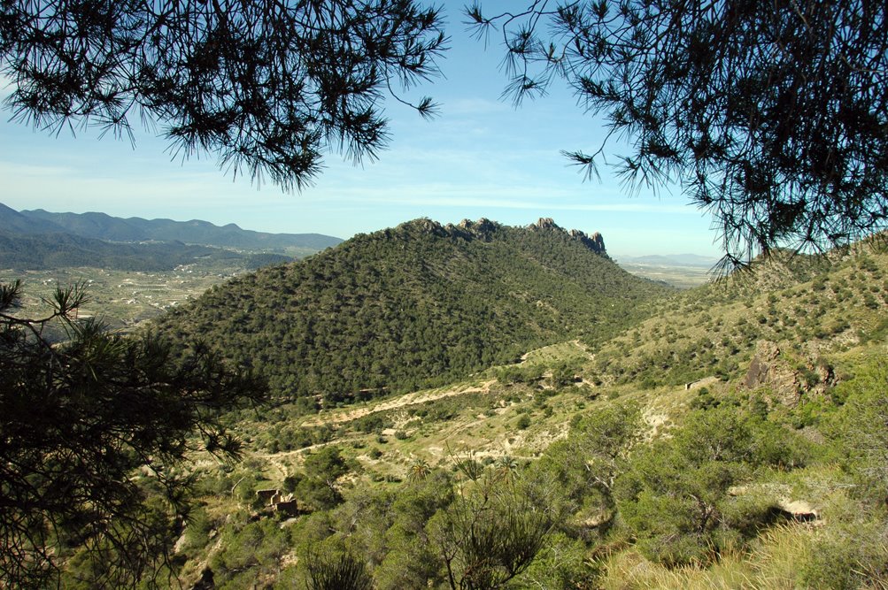 Umbria del Cuchillo, vista desde la Sierra del Oro, en Abarán by jchuelo ty