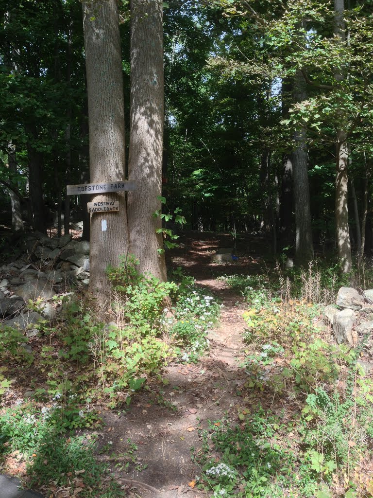 Topstone Park, South Entrance by rogerking