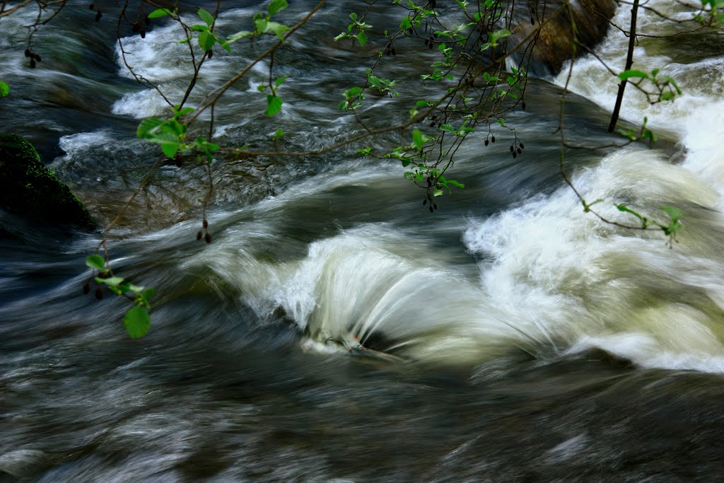 Rio Barbaña by pepedobarrio