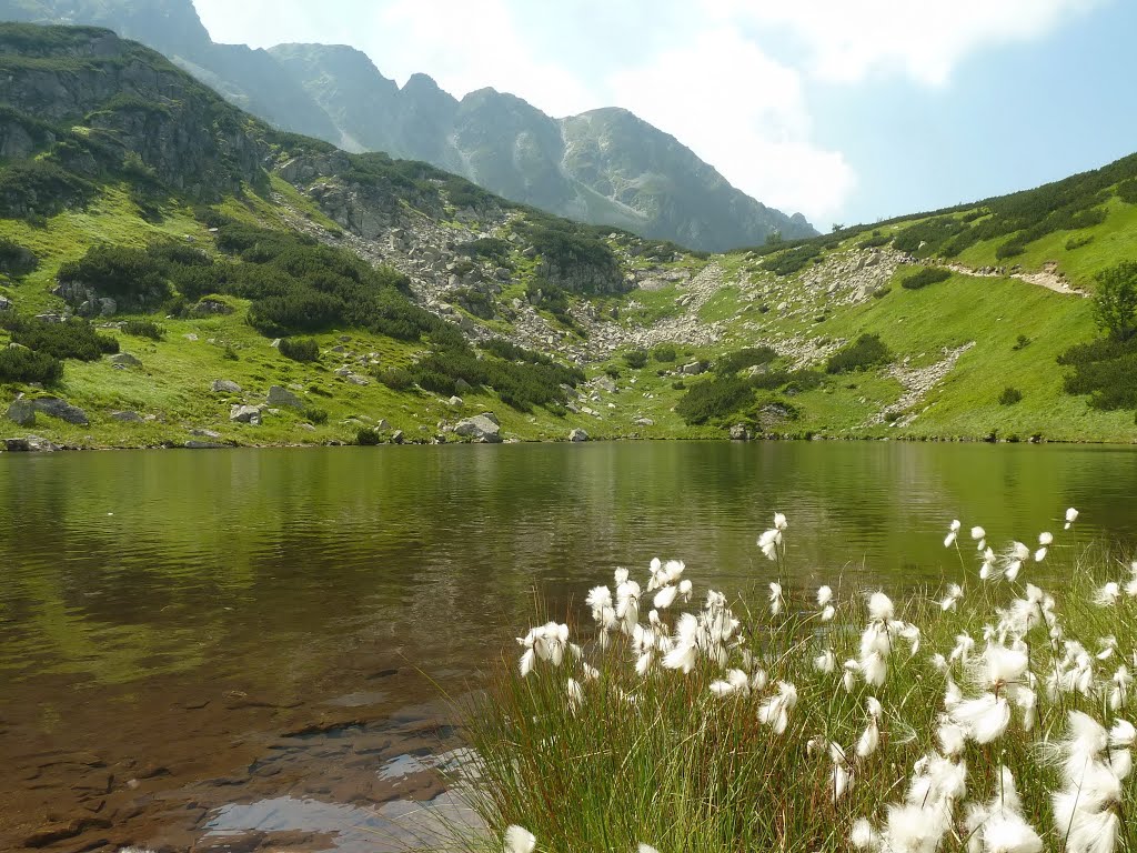 Nižné Jamnícke pleso by marian.drabik.svk