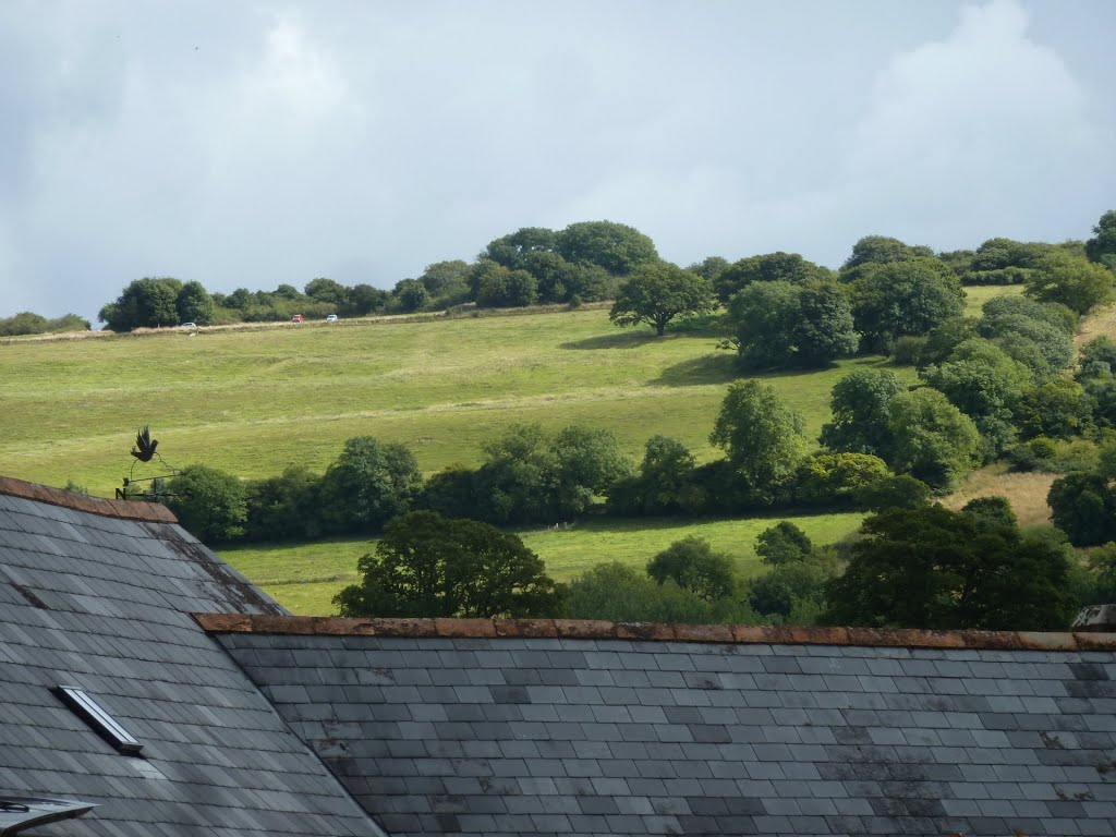 06-09-2013. Bulbarrow Hill from Ellwood Cottages, Skinners Farm, Woolland. by RedRobbo