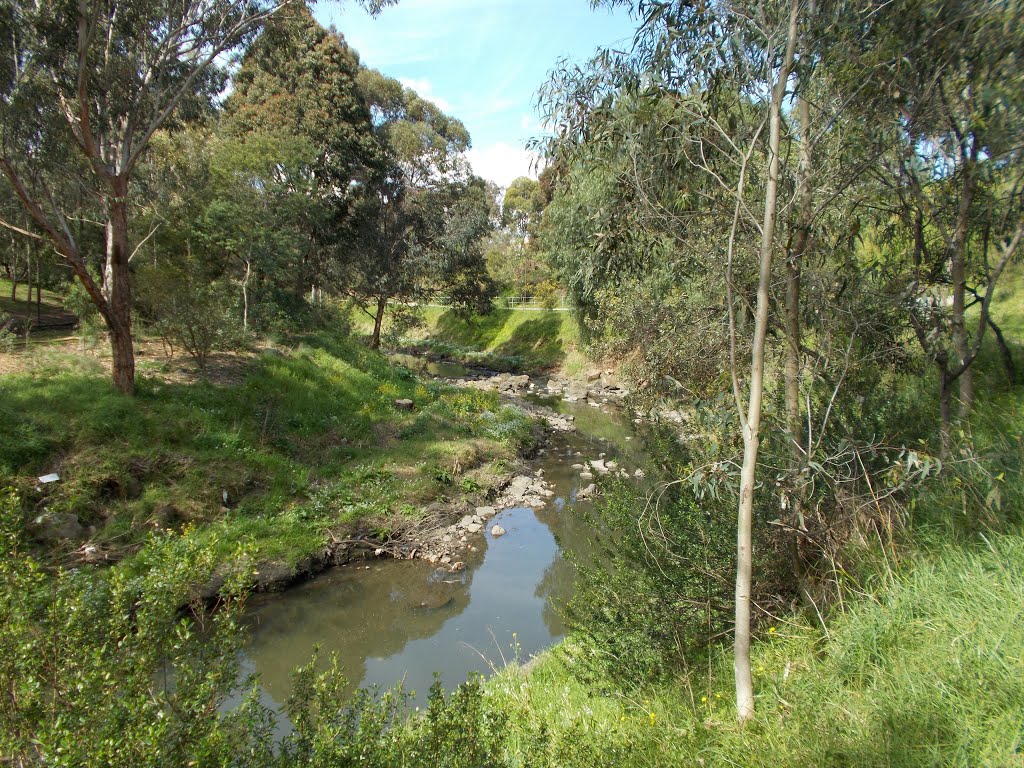 Darebin Creek by VICPhotoSurvey