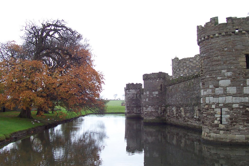 Ruines of Beaumaris, Wales, UK by roetierutger