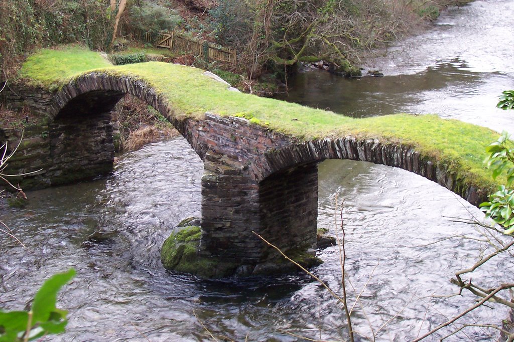 Ancient bridge, Dinas Mawddwy, Wales, UK by roetierutger