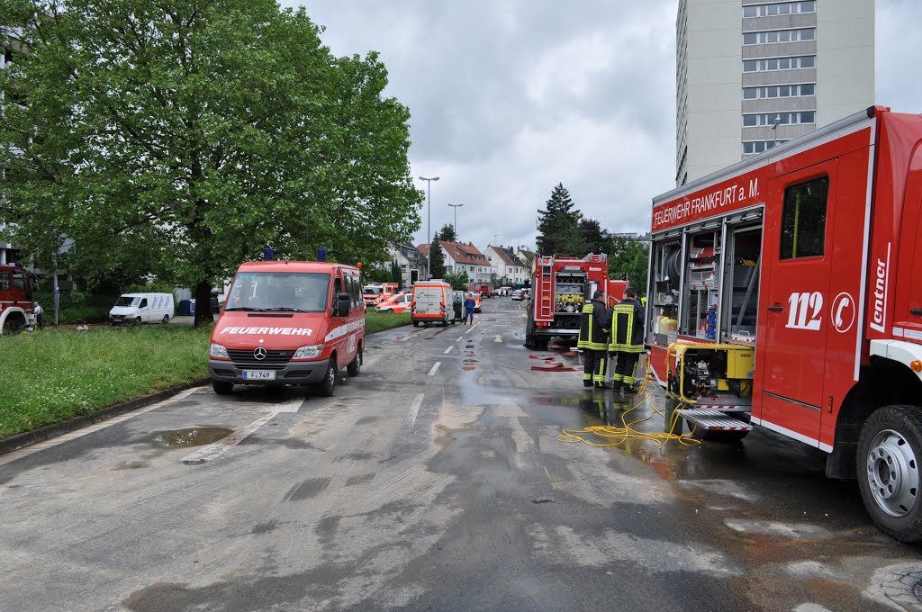 Hochwasser,Frankfurt/M-Praunheimer Weg 169 by zgrga