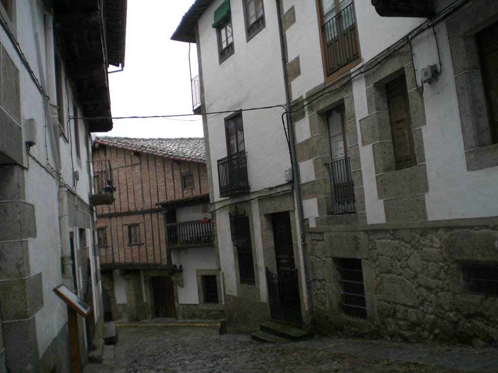 Candelario by rosa azul