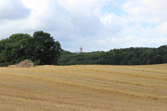 Blick auf das Jagdschloss Granitz by Henning Gierth