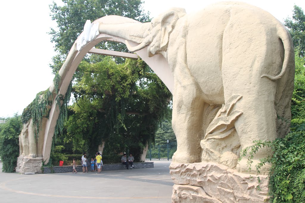 Shanghai Zoo 上海动物园 by Douroukas Costas