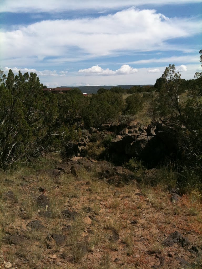 White Rock Canyon Rim Trail by forzared101