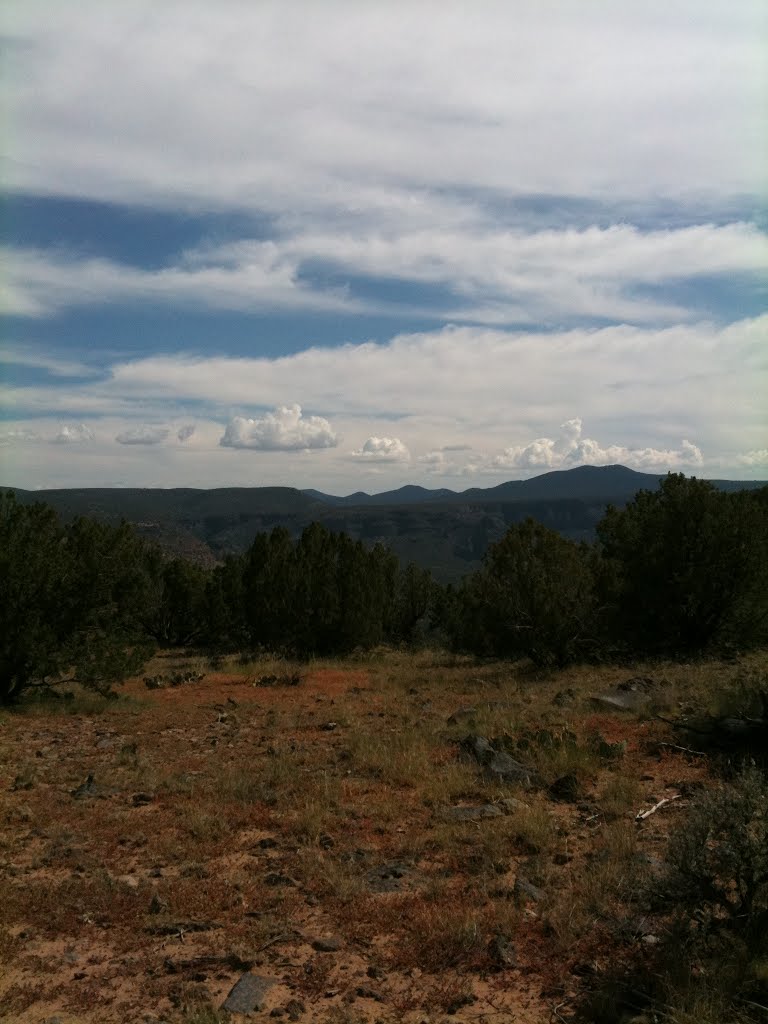 View from White Rock Canyon Rim Trail by forzared101