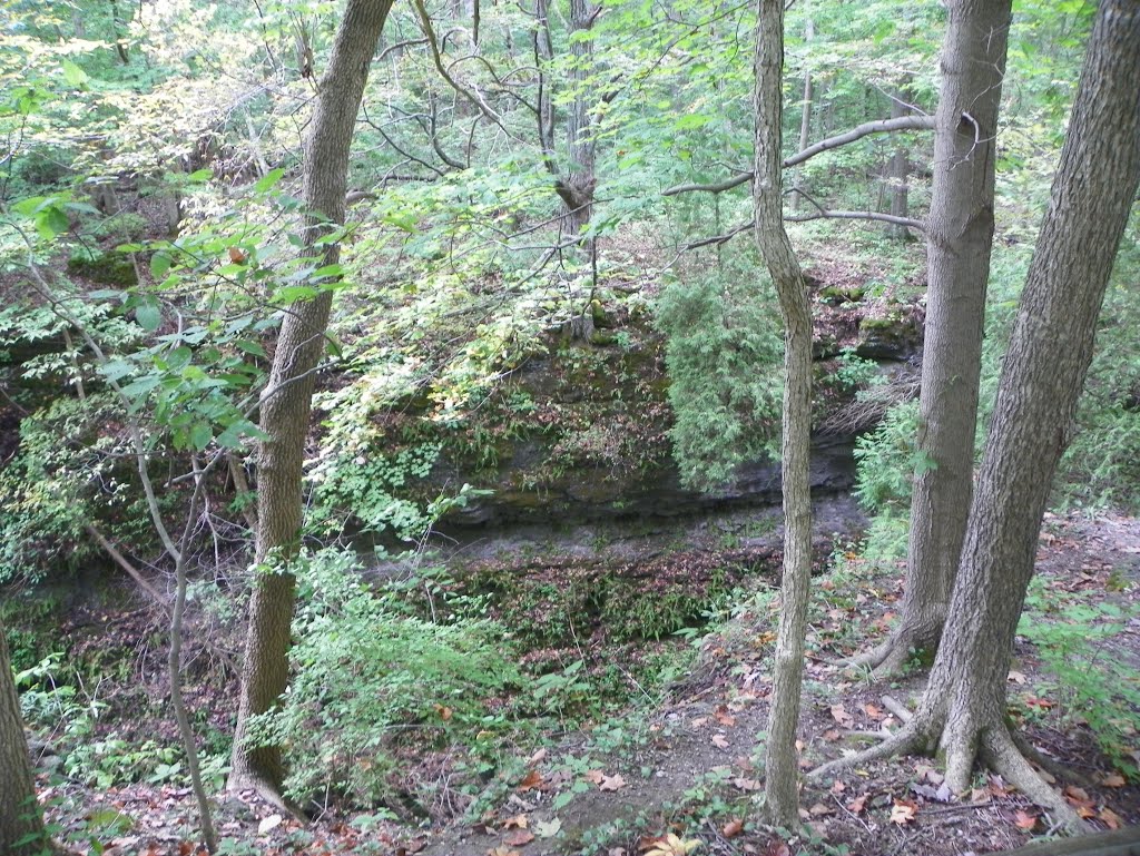 Clifton Gorge Preserve by MikeFromholt