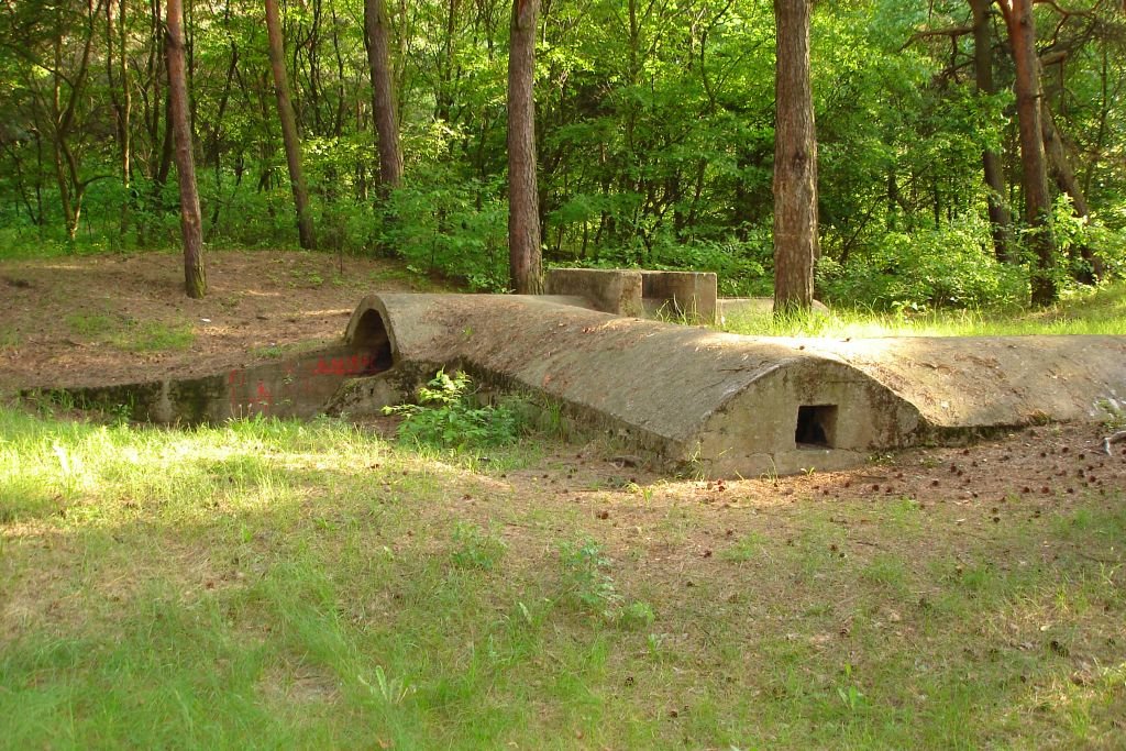 Bunkry w lesie przy zakładach Zachem by Nufer