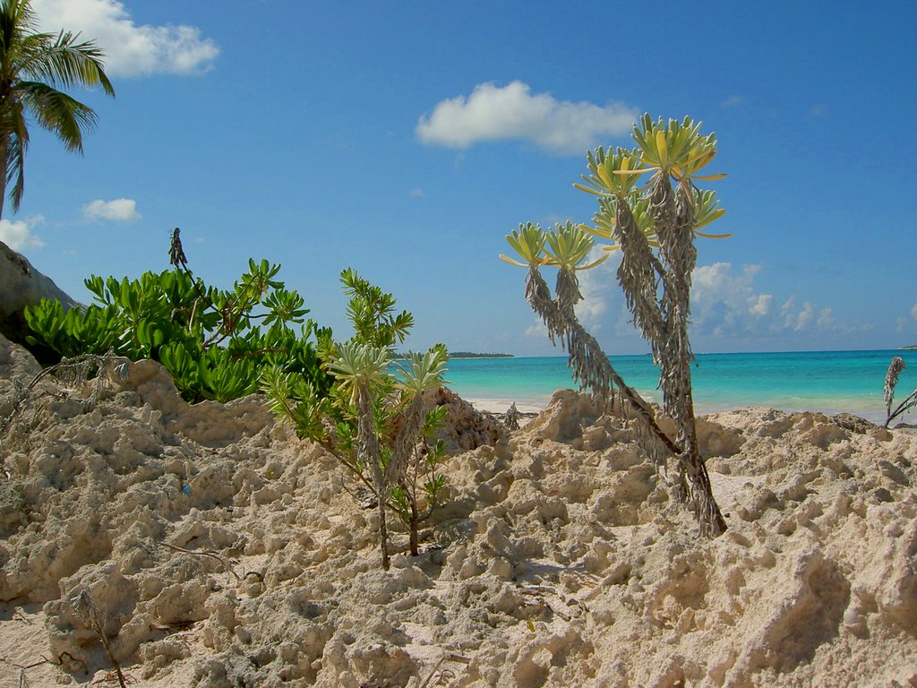 Beautiful Eleuthera - Double Bay Beach by abroomhe