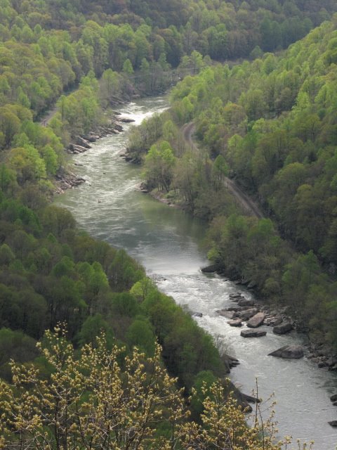 New River by Eric Rogers - Greenville, SC