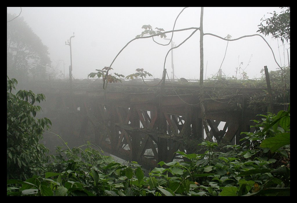 Ponte abandonada by Iberê Thenório