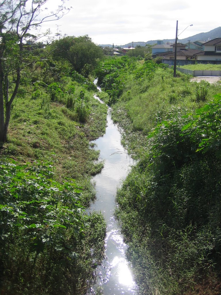 Rio Córrego Grande by baciadoitacorubi