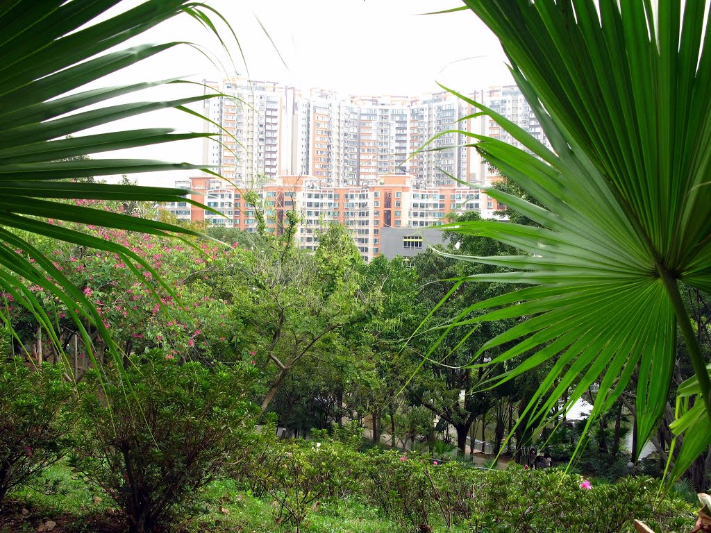 Yuen Long Park by Waheed Ashraf