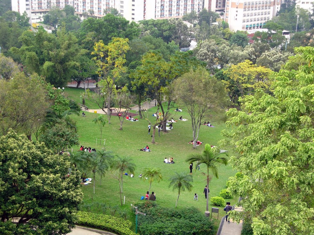 Yuen Long Park by Waheed Ashraf