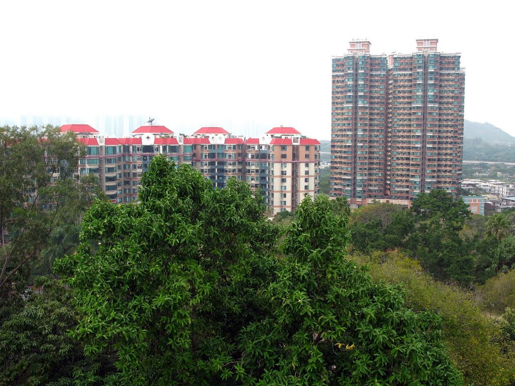 Yuen Long Park by Waheed Ashraf