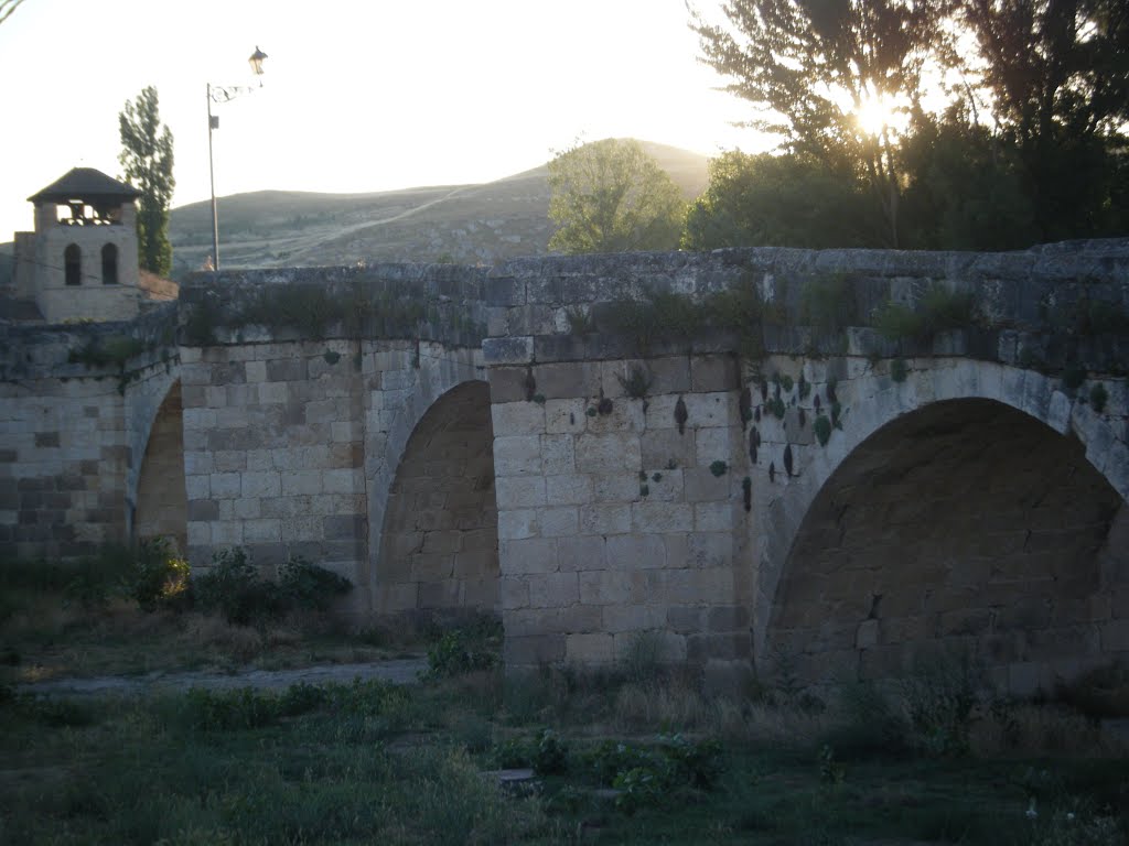 Puente sobre el Duratón. Fuentidueña by Ana Sayalero