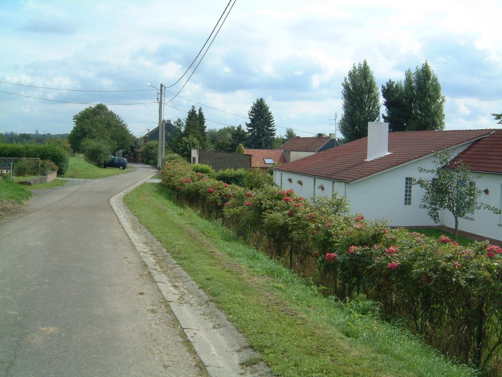 Rue Bois de Breucq by Thomas Leclercq