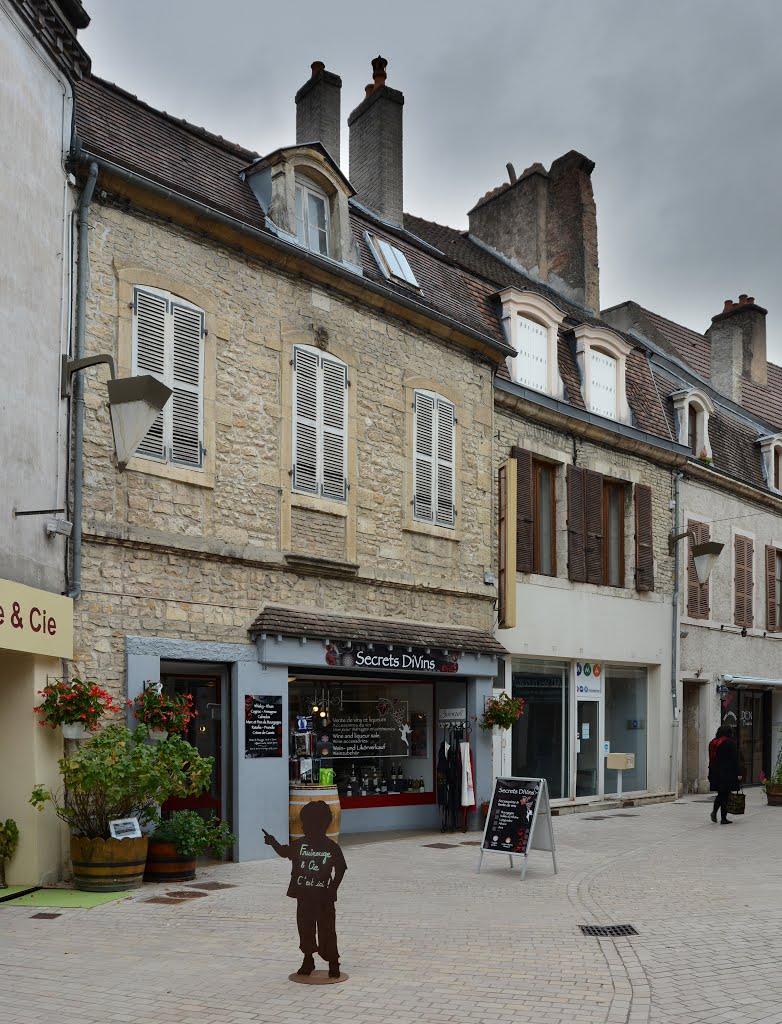 Nuits-Saint-Georges, Frankreich by Norbert Kurpiers