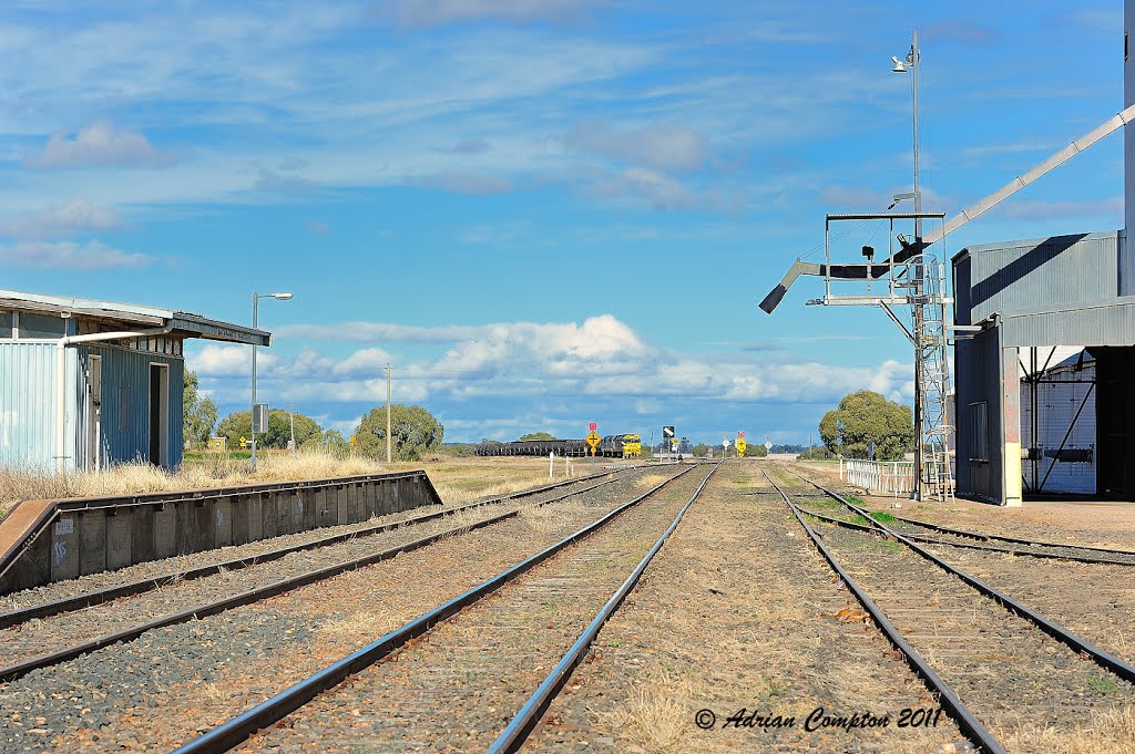 Edgeroi Rly. Stn. and grain handling facilities, 29th June 2011. by Adrian Compton