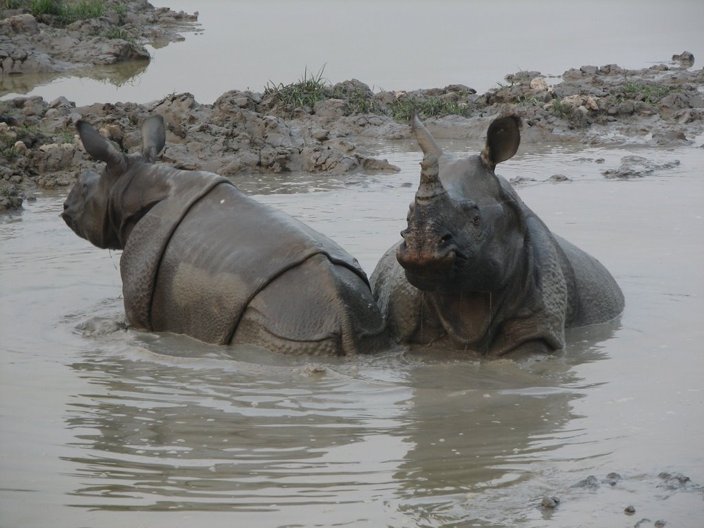 Having a morning bath by gupta_a09