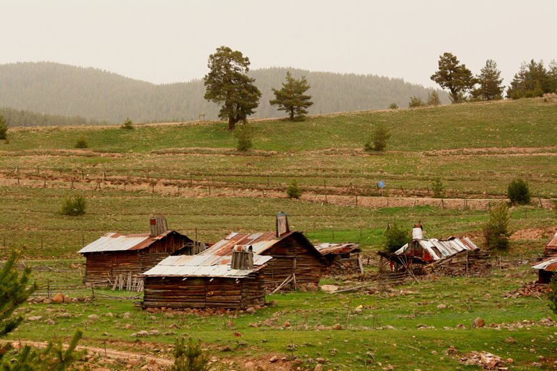 Eğriova, Karaşar, Beypazarı, Mete ERENGİL by Mete ERENGİL