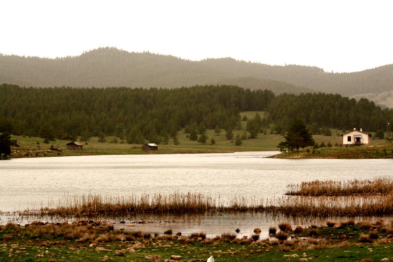 Eğriova Göleti, Karaşar, Beypazarı, Mete ERENGİL by Mete ERENGİL