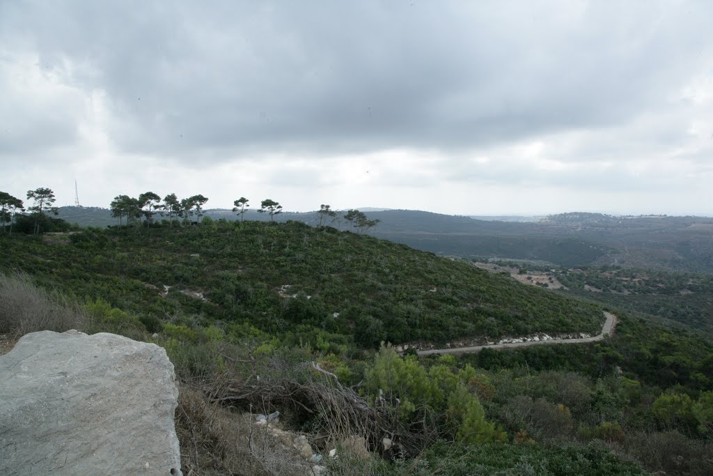 Carmel Israel by Danotabraham