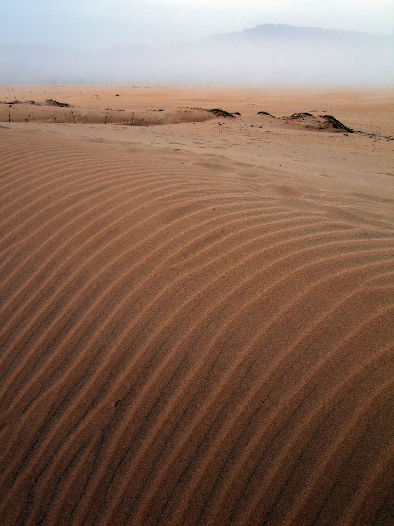 Dunes, Kenton-on-Sea, South Africa by Bruno Locatelli