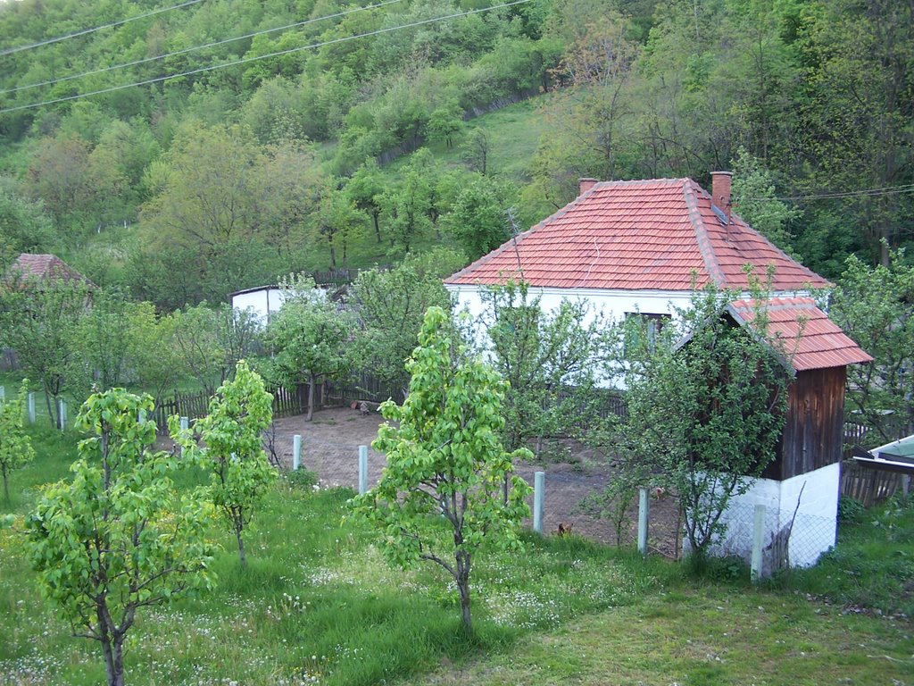 Bogutovo Selo 2, Ugljevik, Republika Srpska, BiH by Miša M.