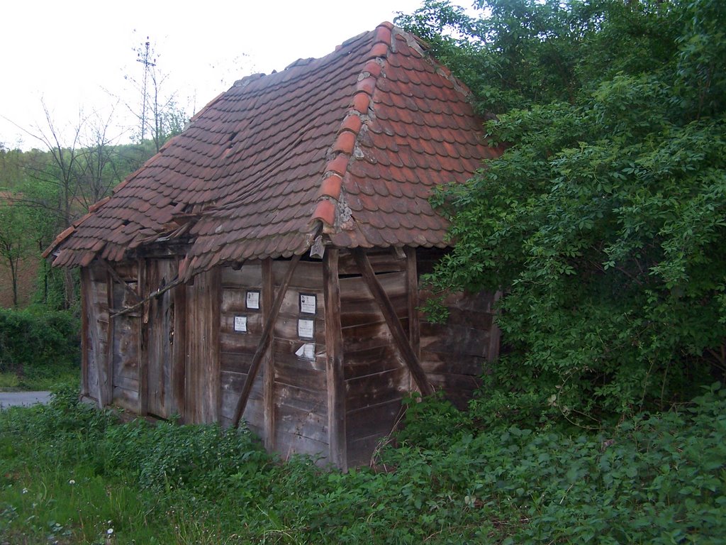 Bogutovo Selo 8, Ugljevik, Republika Srpska, BiH by Miša M.