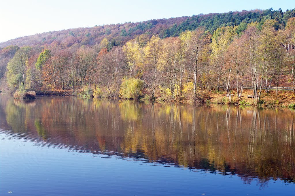 Autumn Colour by eoghan mc