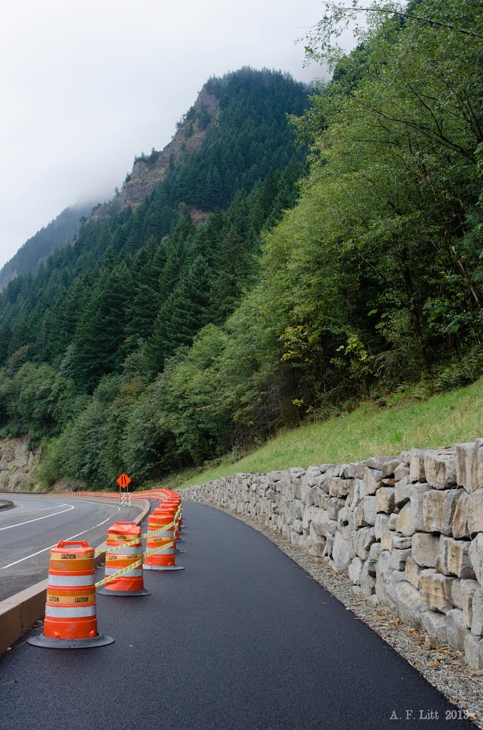 HCRH State Trail - Temporary Railing by A. F. Litt