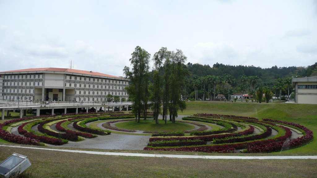 Jardín en laberinto, frente a la biblioteca de la Universidad Simón Bolívar by Dinuel