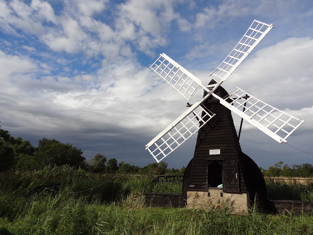 Wicken Fen windmill by MarkWNS