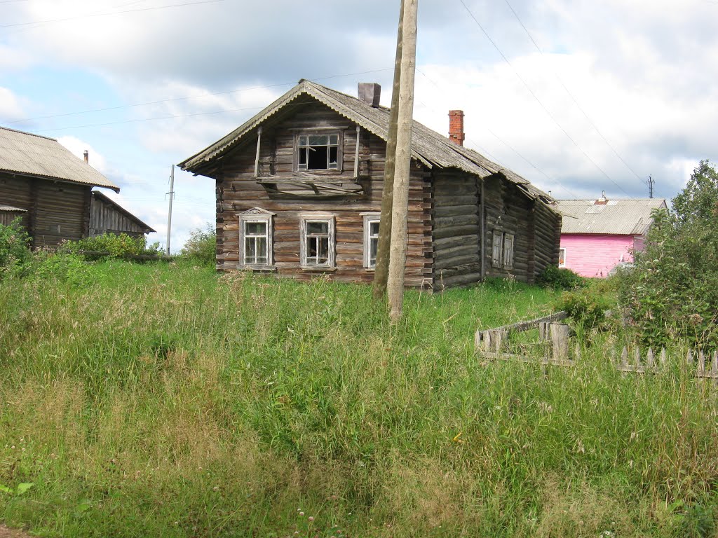 Cherevkovo village, Russia by Alexander Berezhnoy