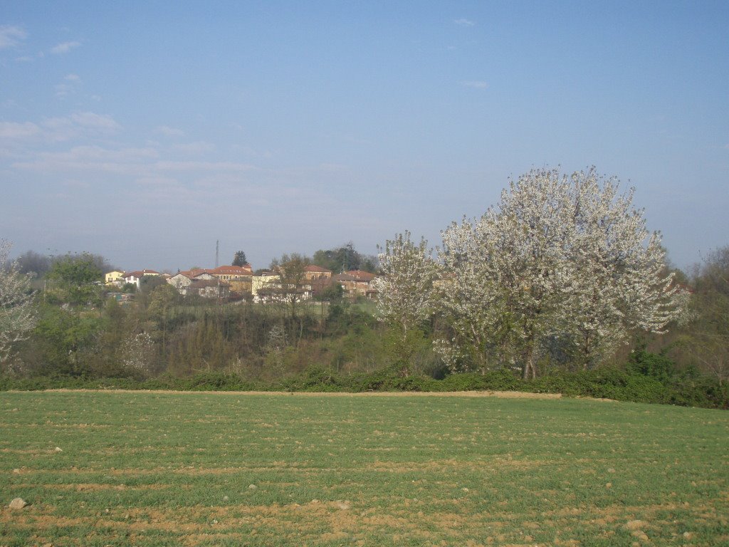 Panorama di Casaglia by athos menghini