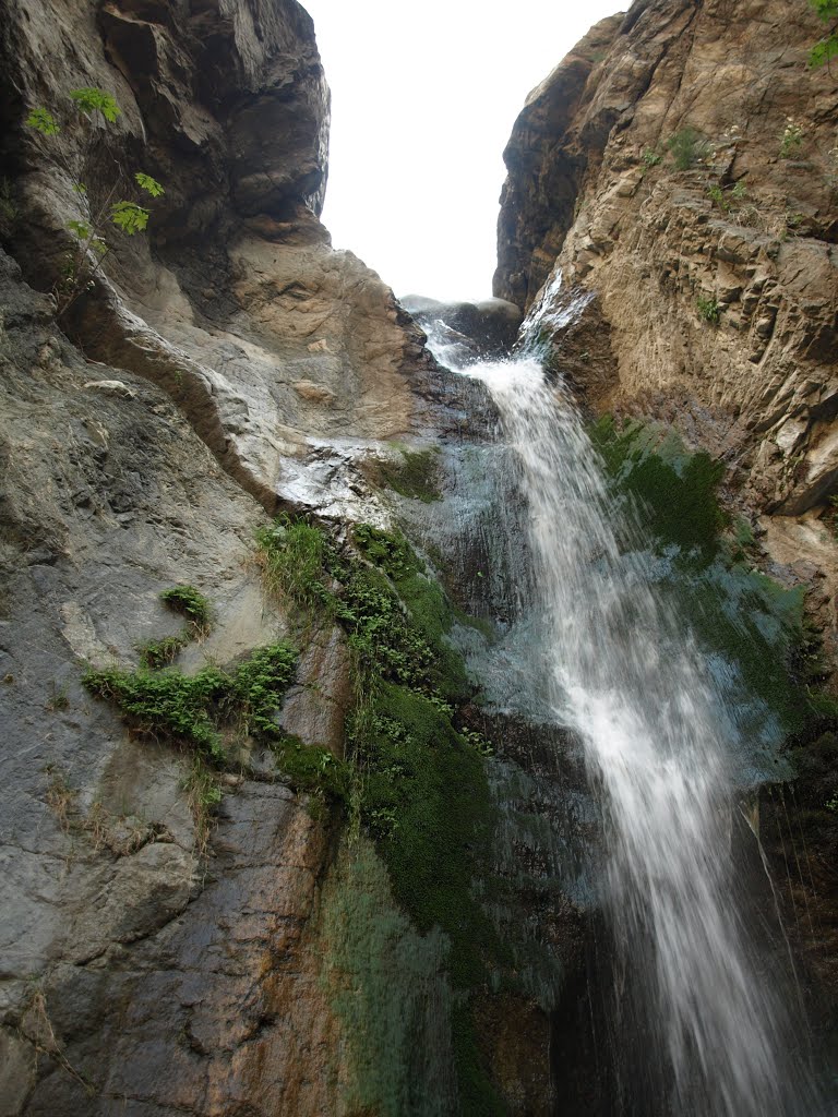 Eaton Canyon Falls by Blake of the Bluffs