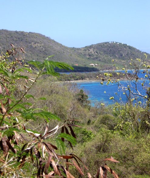 Nature Reserve View by garethMann