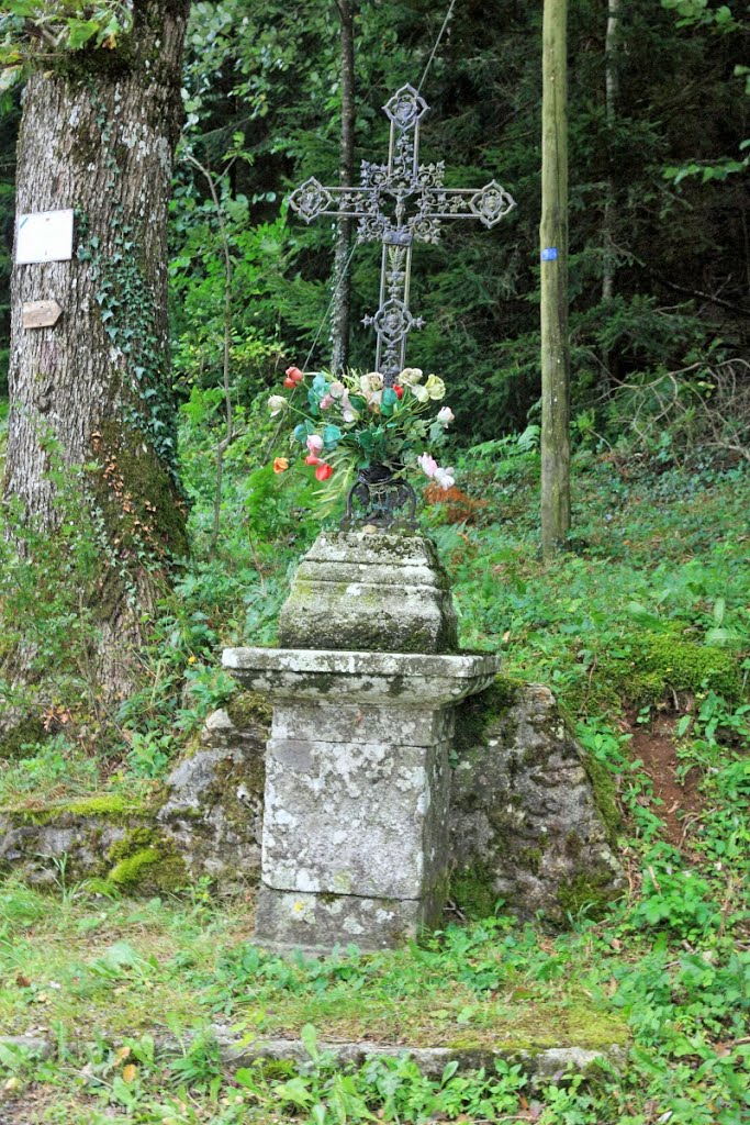 Croix à l'entrée de FraIsse-sur- Agout by jean pakhomoff