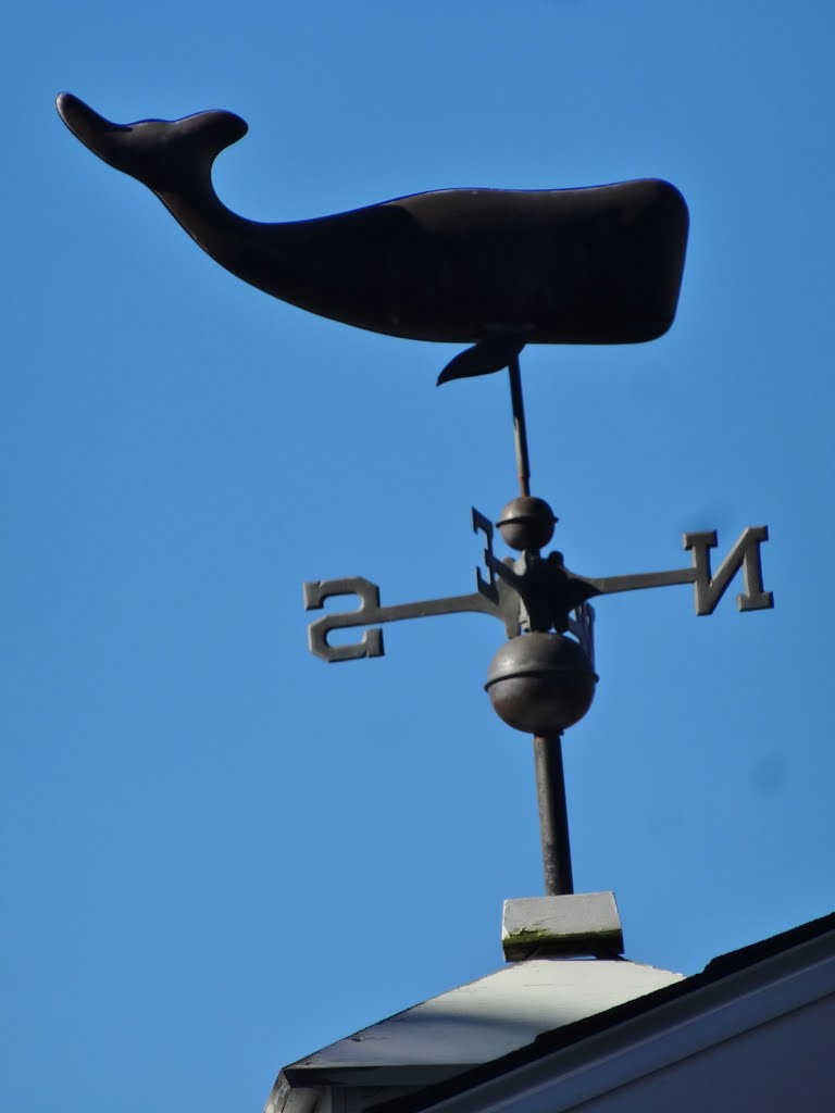 Whale weathervane by Taoab