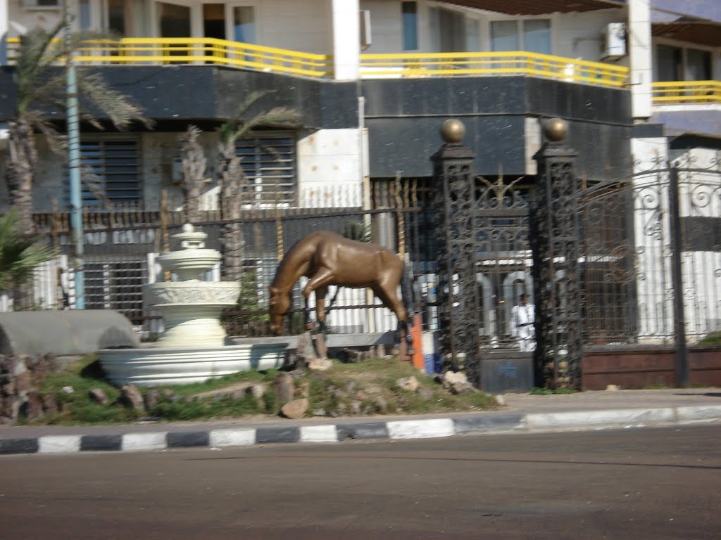 The Horse Statue by Ahmed Fahmy