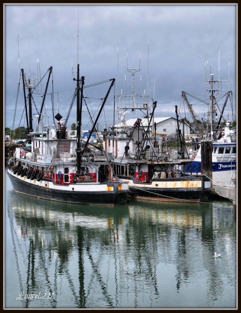 Steveston Harbour in Richmond, B.C. by Laurel211