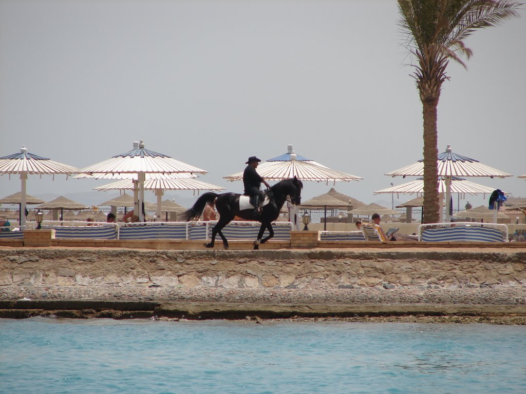 El-Bahr, Qesm Hurghada, Red Sea Governorate, Egypt by Nicolae Milea