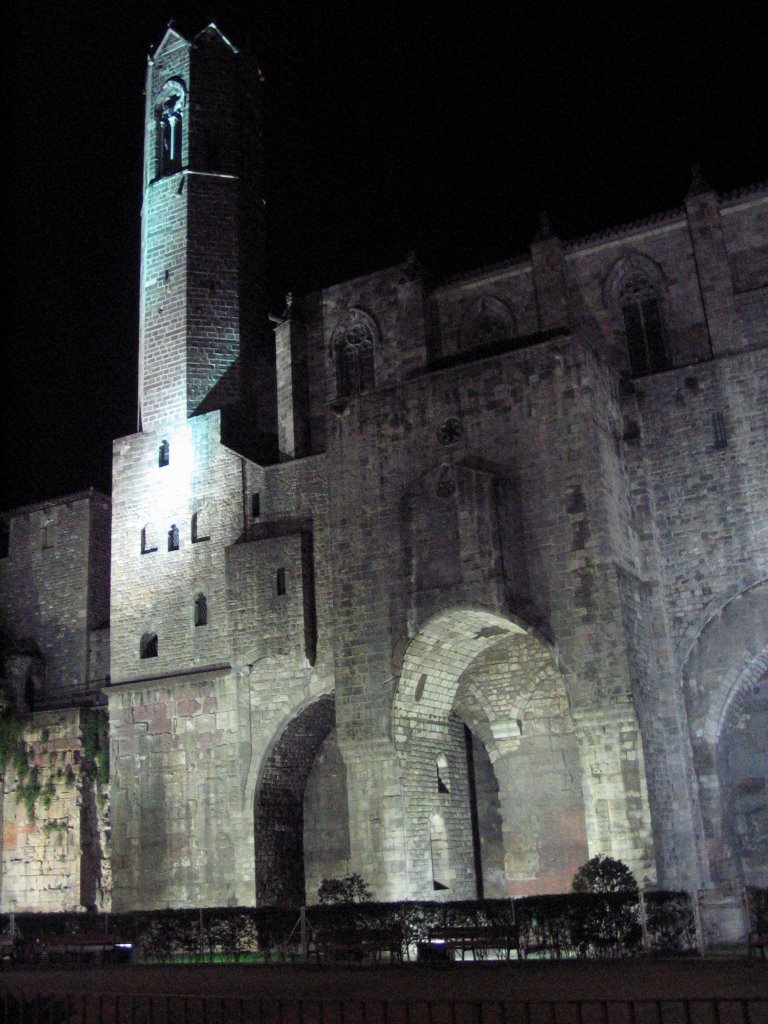 Side or Back of Barcelona Cathedral at night by ricowhaz