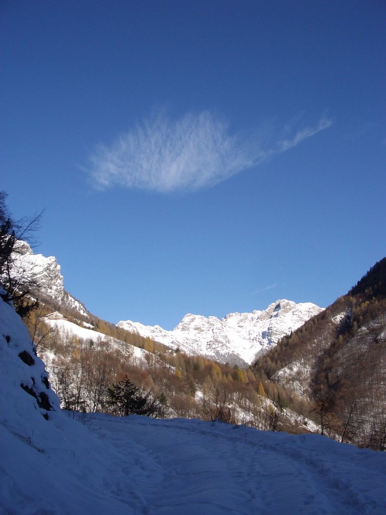 Nuvole in Val Zemola (Erto) by Michele Benvegnu